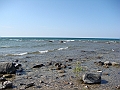 Western Michigan [2010] 790
